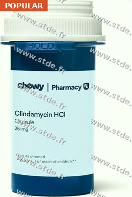 Clindamycine 300mg — tout comprendre avant de commander en France